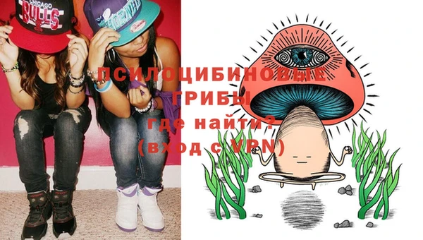 Альфа ПВП Алзамай